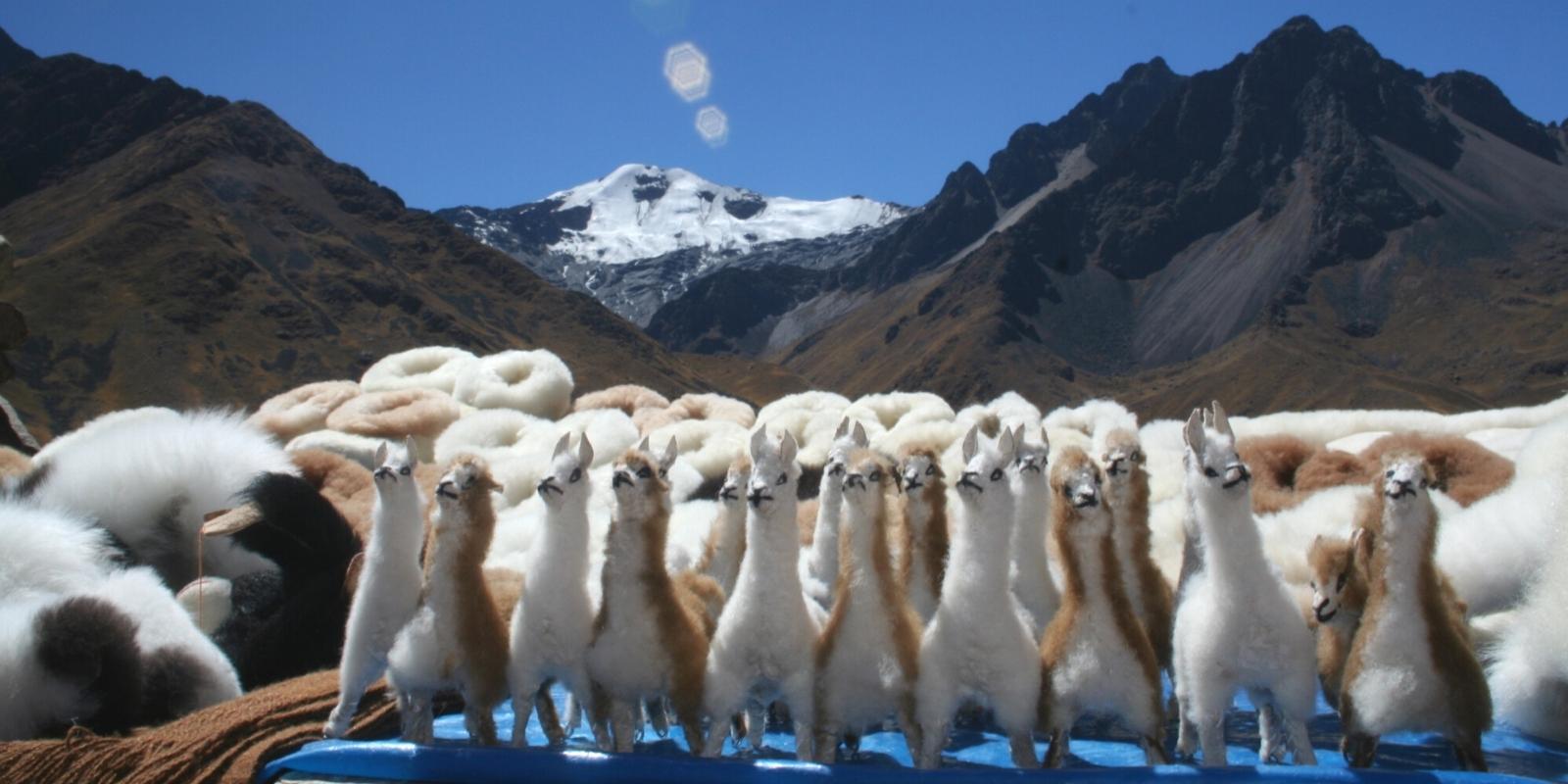 10 best souvenirs of Peru you should to buy , alpaca dolls