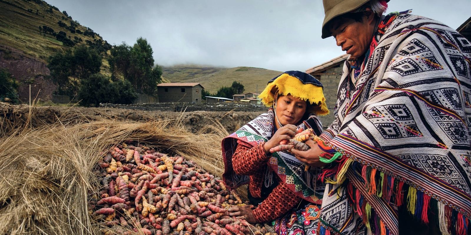 inca agriculture by inca trail expeditions