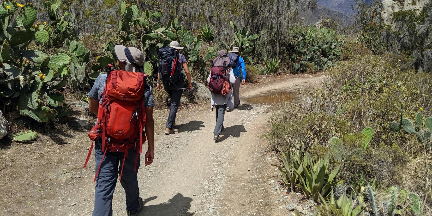 5 day inca trail hike to machu picchu with inca trail expeditions