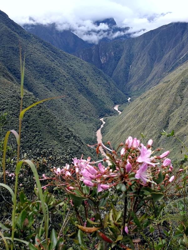 the inca trail to machu picchu by inca trail expeditions