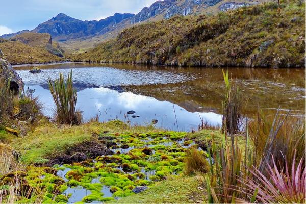 lares trek by inca trail expeditions