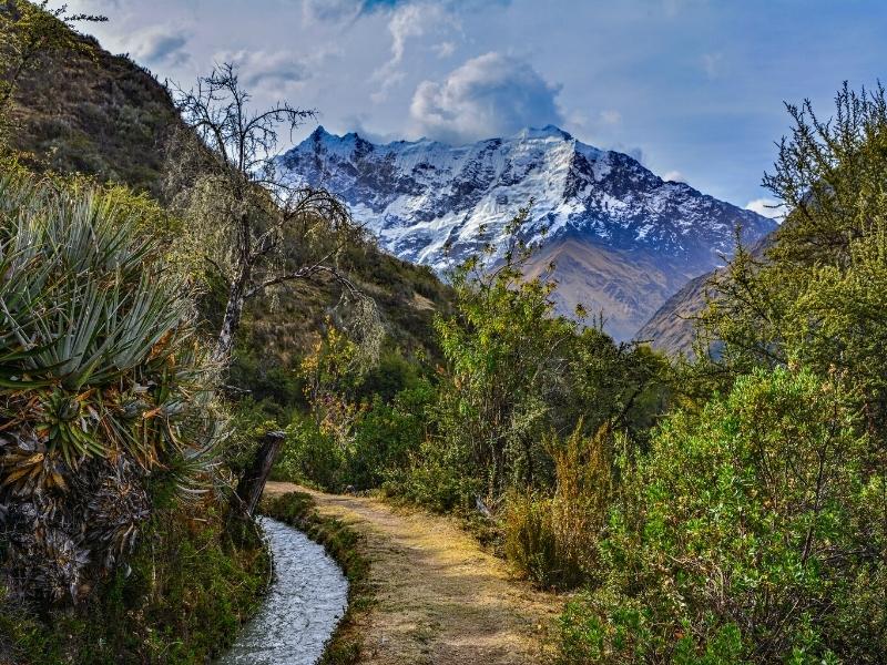 salkantay trek peru by inca trail expeditions