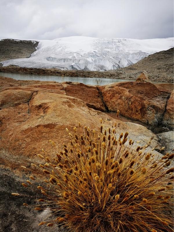 quelccaya glacier by inca trail expeditions (1)