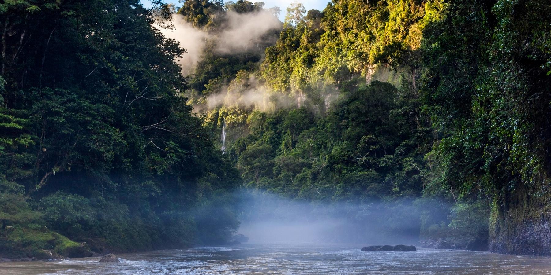 Manu Amazon Rainforest Tours 3 Days | Inca Trail Expeditions