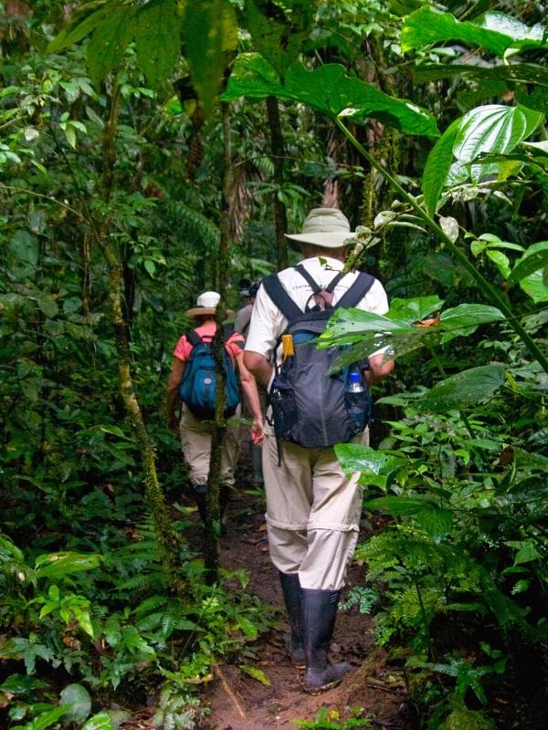 6 day manu amazon rainforest tours by inca trail expeditions