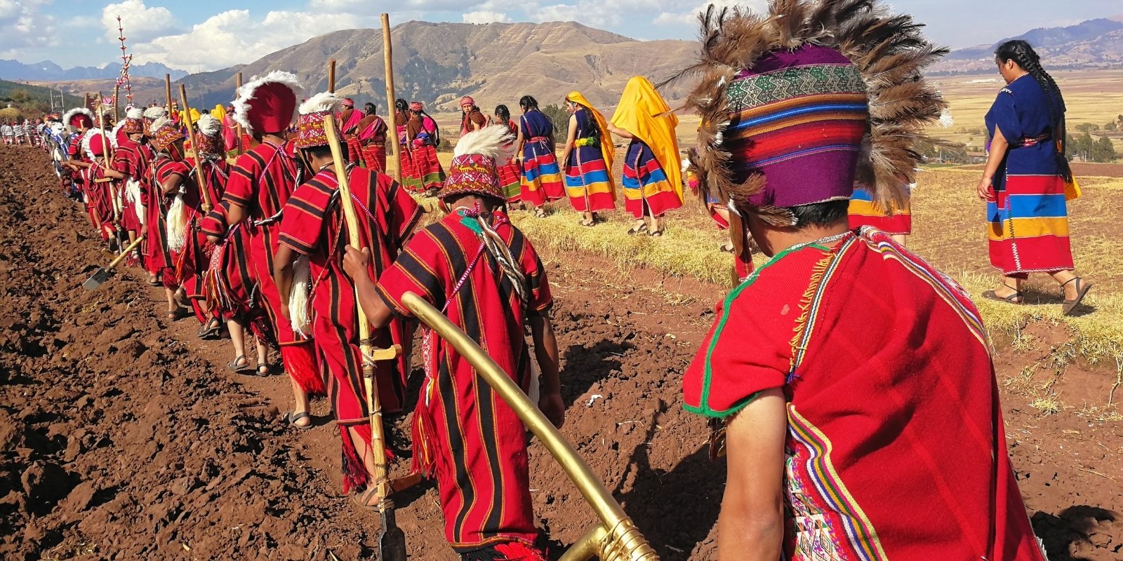 AUGUST - SOWING OF THE FIELDS
