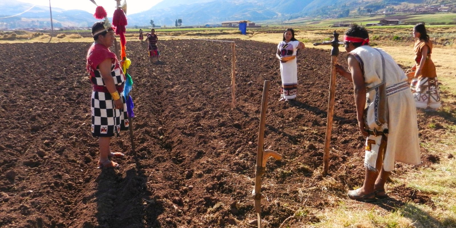 JULY - DISTRIBUTION OF FARMLAND