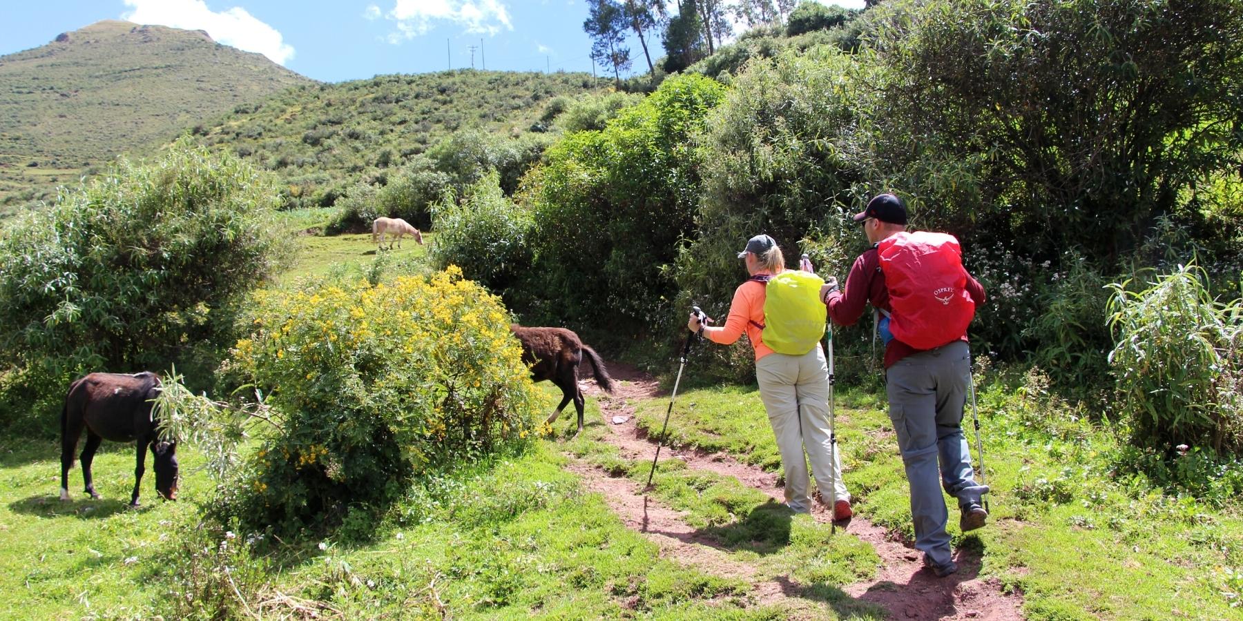 ancascocha trek to machu picchu by inca trail expeditions (1)