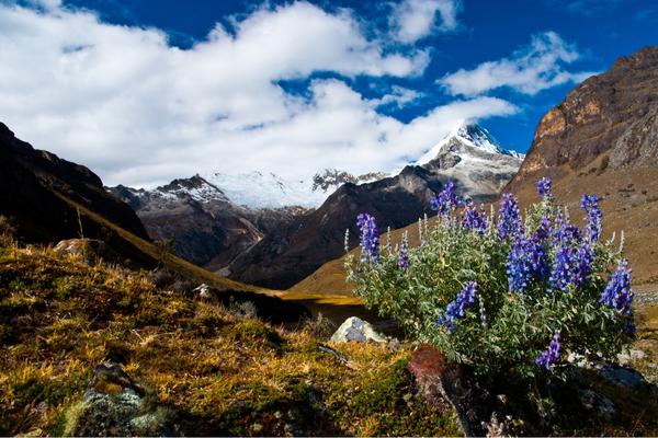 ancascocha trek to machu picchu by inca trail expeditions (4)