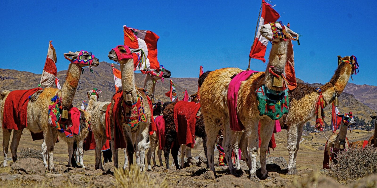 MAY - HARVEST FESTIVAL