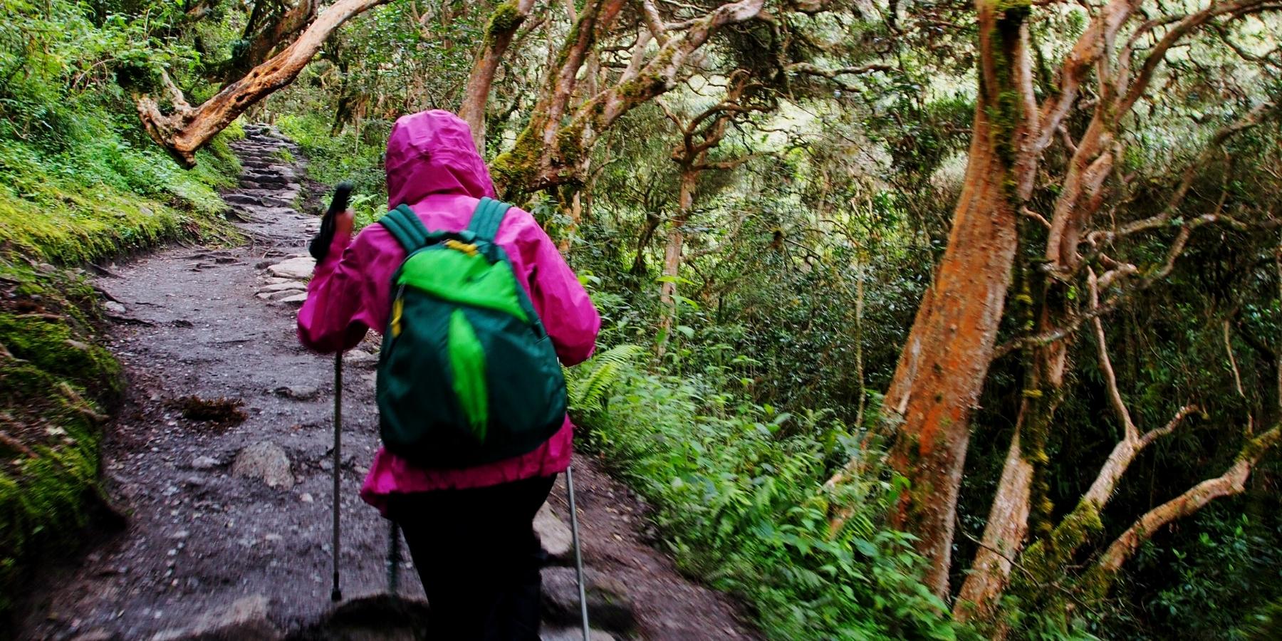 Choquequirao, Salkantay Trek & Inca Trail 9 Days | Inca Trail Expeditions