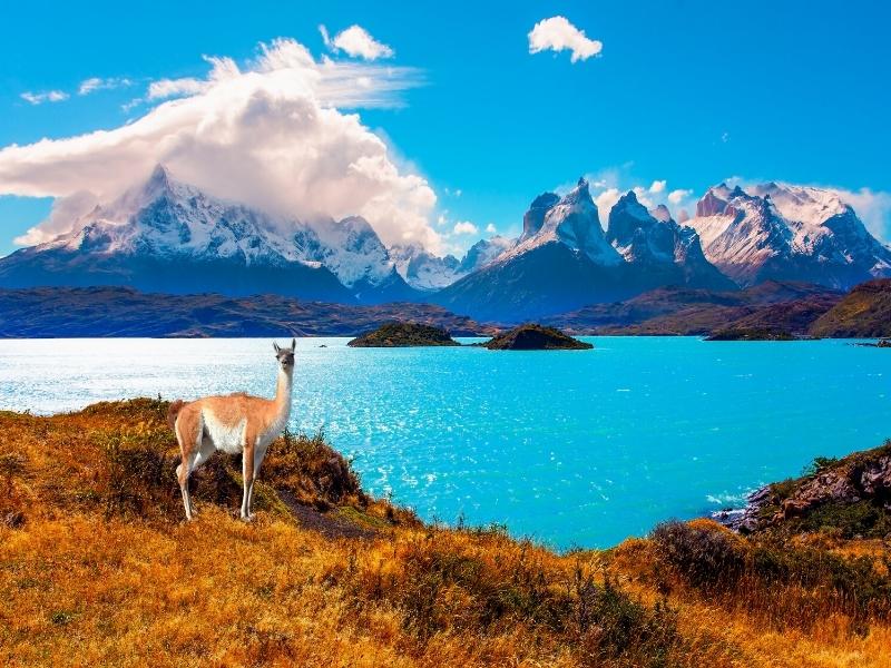 epic hikes in south america by inca trail expeditions