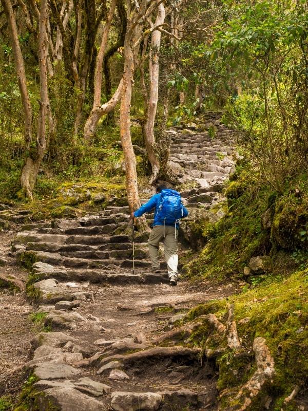inca trail hike to machu picchu by inca trail expeditions