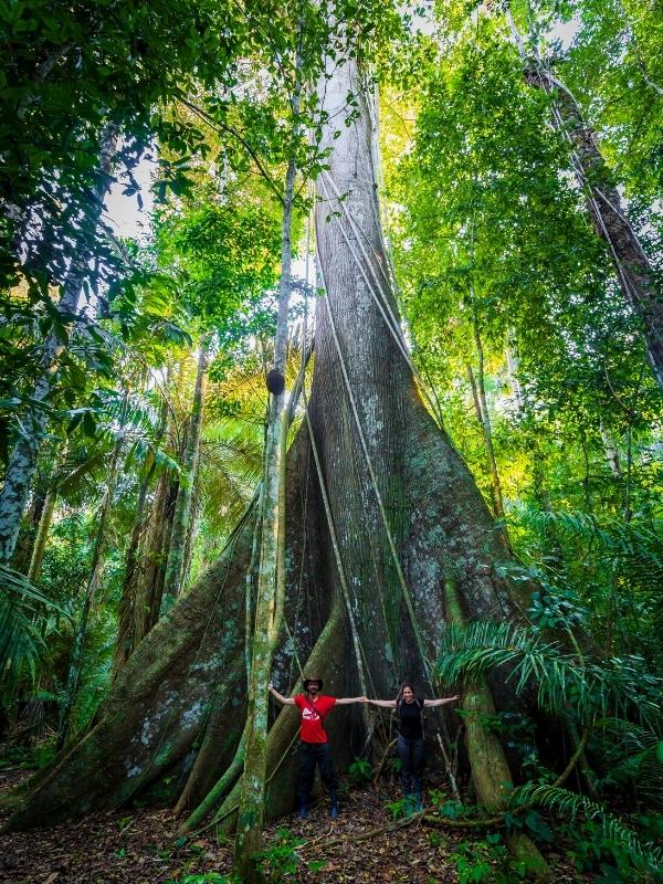 Manu Amazon Rainforest Reserved Zone 6 Days