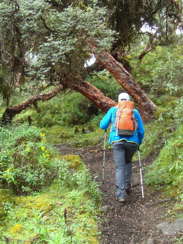 Training hike to do Classic Inca Trail 1 Day