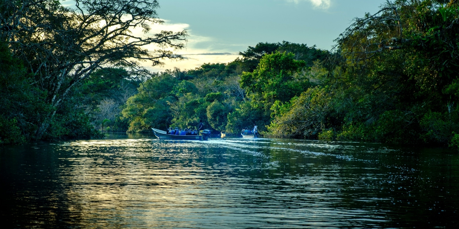 Unique Fauna and Iconic Species