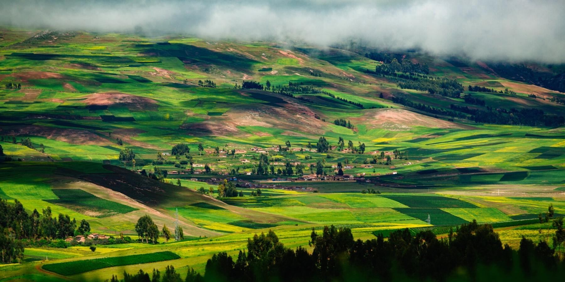 Explore Cusco, Machu Picchu and Sacred Valley 3 Days