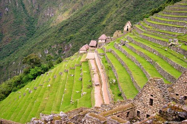 Tour to Machu Picchu by Train 2 Days