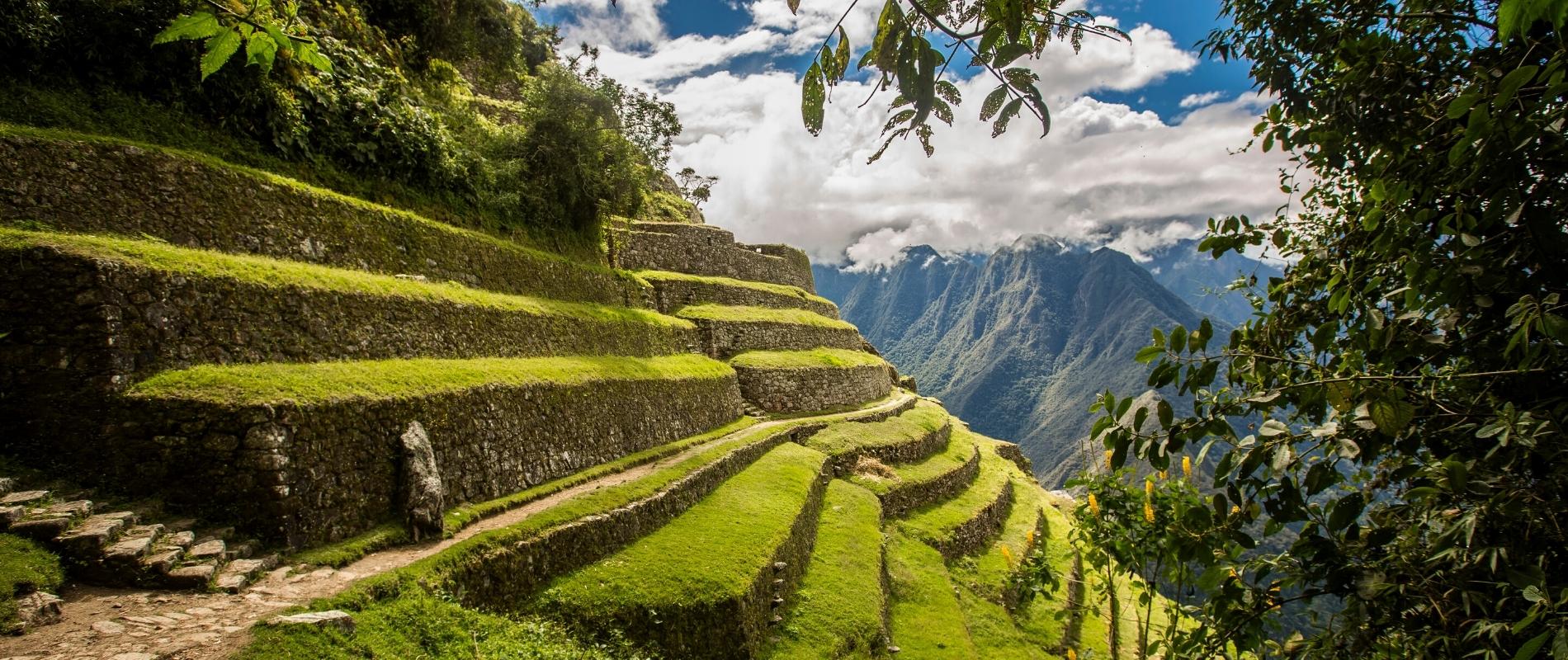short inca trail to machu picchu by inca trail expeditions