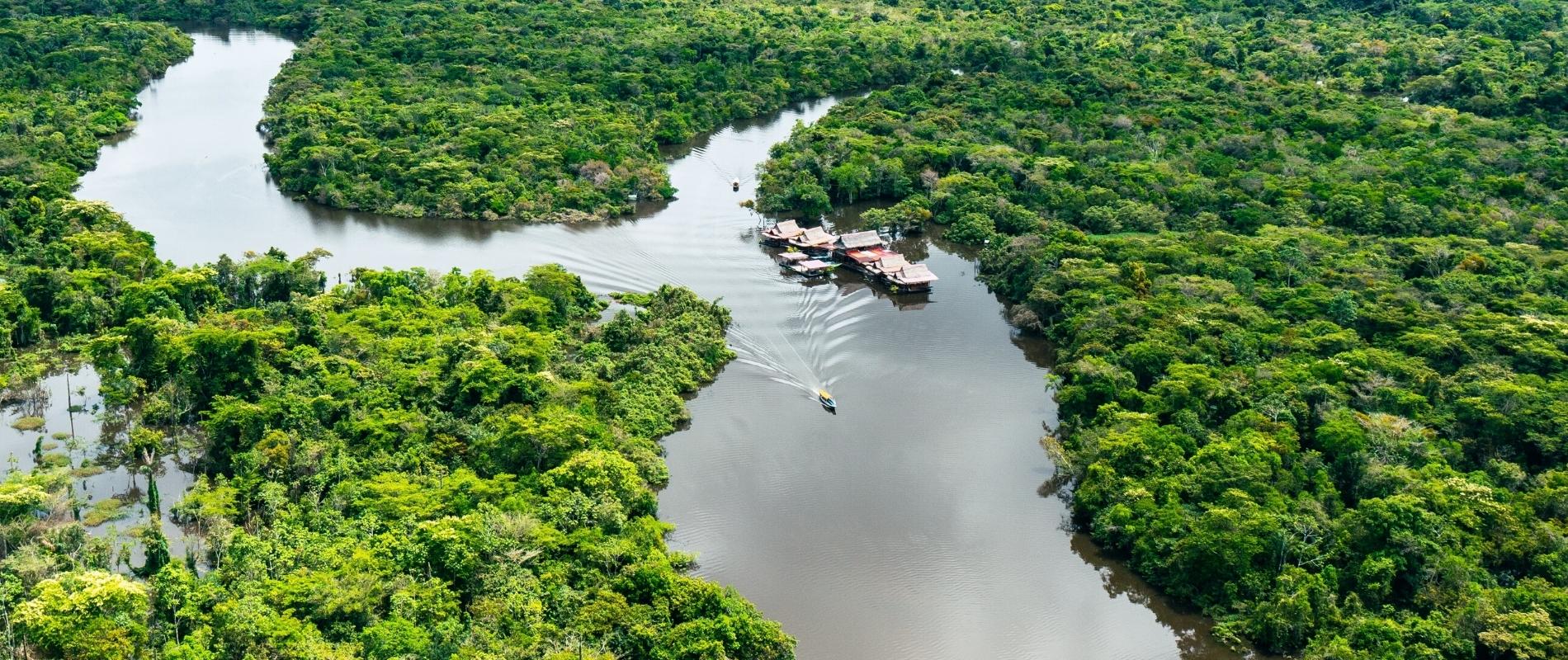 Tambopata Amazon Rainforest  4 Days