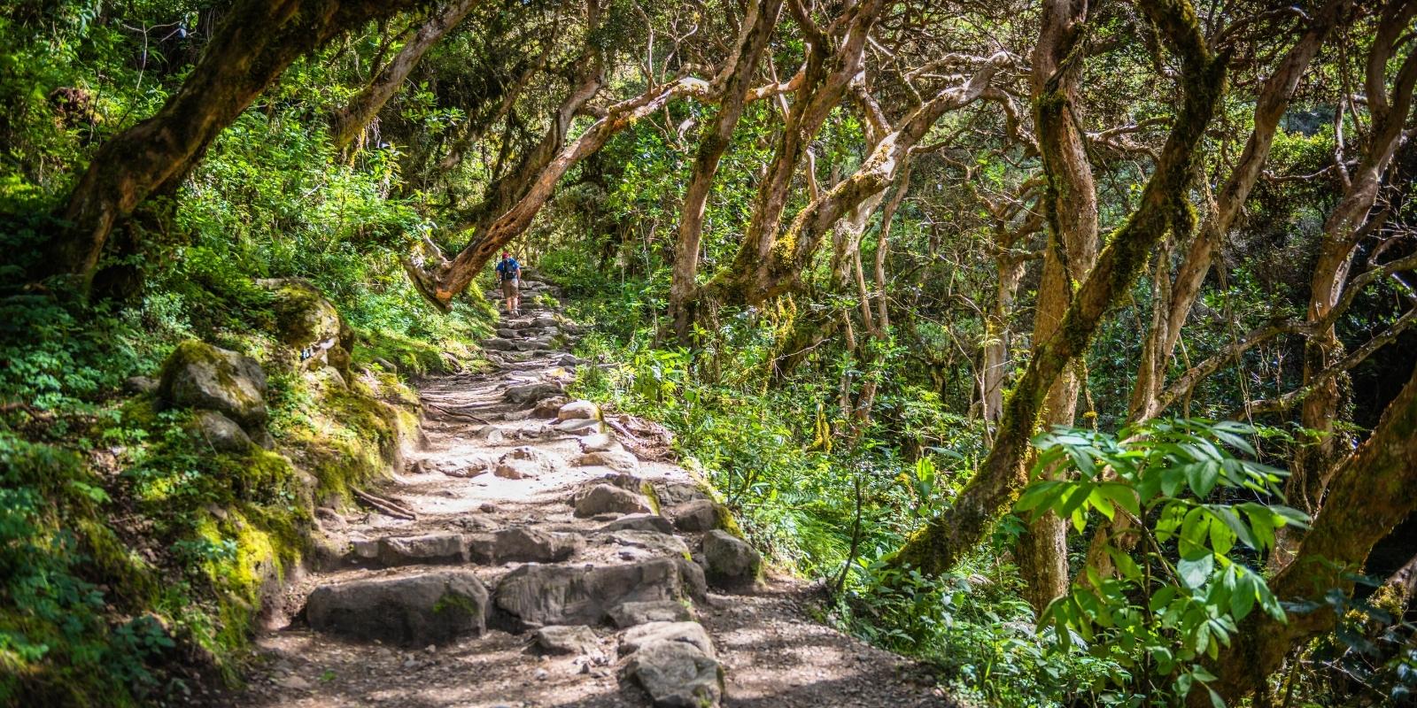 the inca trail hike to machu picchu (1)