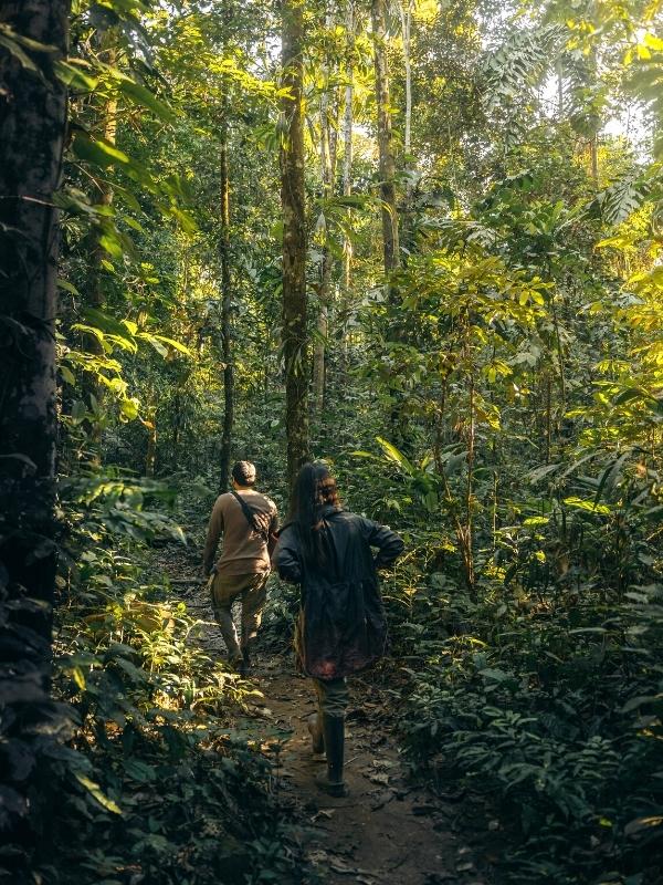 Manu Amazon Rainforest Tours 3 Days