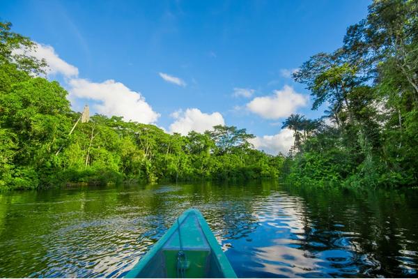 tour to tambopata jungle by inca trail expeditions