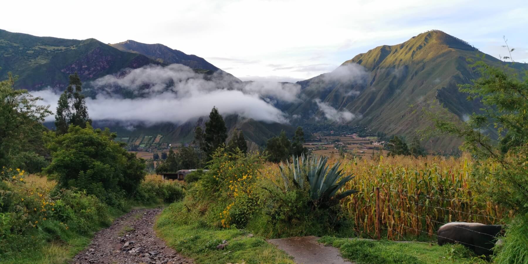 Training hike to do Classic Inca Trail 1 Day | Inca Trail Expeditions
