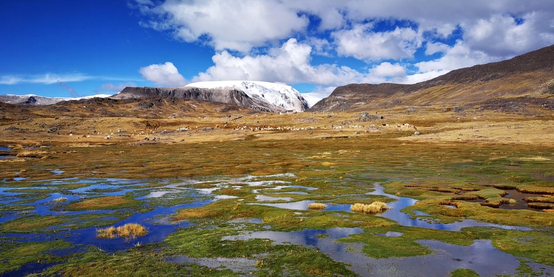 trek to quelccaya glacier by inca trail expeditions (4)