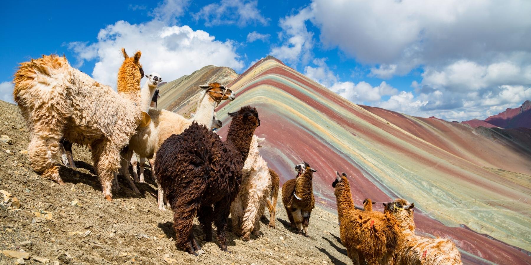 trek to rainbow mountains and quelccaya glacier by inca trail expeditions